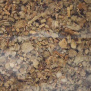 Mullein 25g